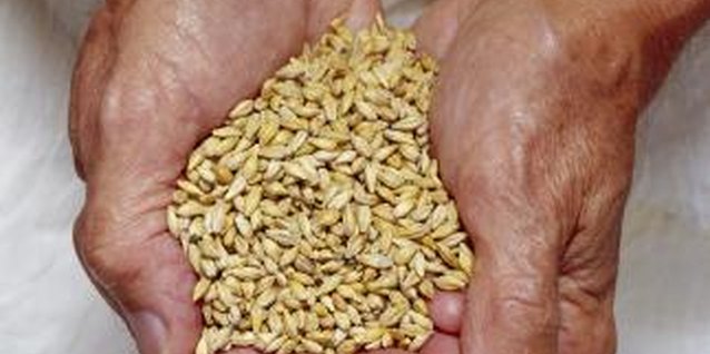 Jupiterimages/Comstock/Getty Images You can use hulled or pearl barley in recipes.