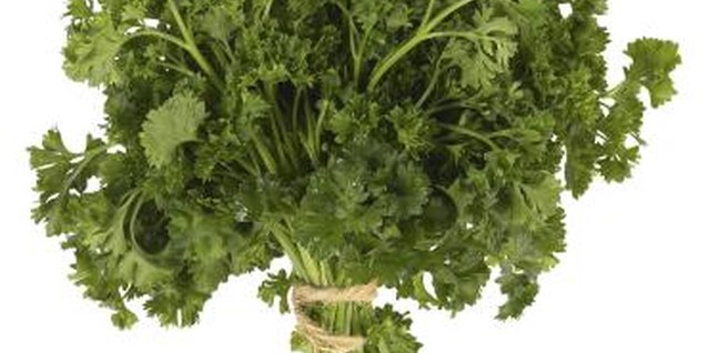 Hemera Technologies/PhotoObjects.net/Getty Images Divide existing parsley plants into sections to induce more growth.