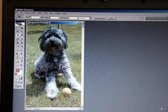pixlr editor online convery to cmyk pixlr editor online convery to cmyk