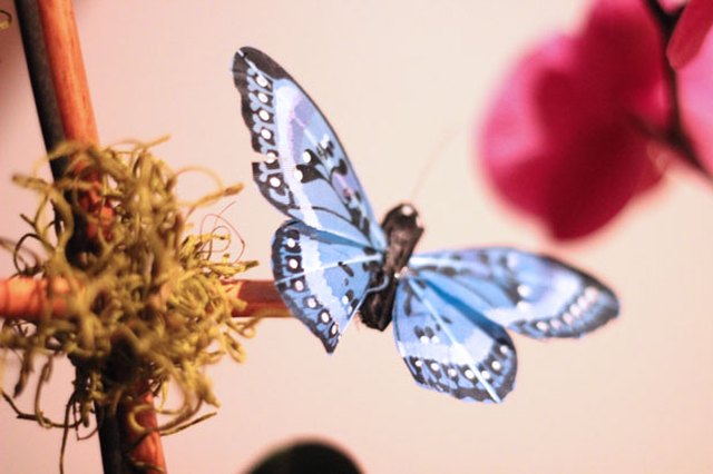 Add a decorative butterfly