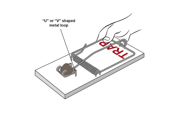 How to Set a Mouse Trap How to Set a Mouse Trap