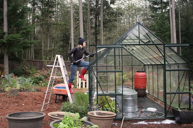 Greenhouses are very low maintenance.