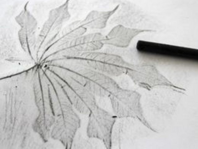 Making the leaf rubbing.