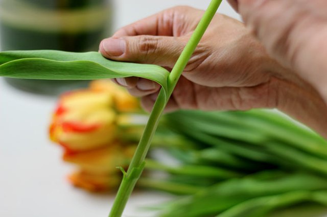 Remove foliage