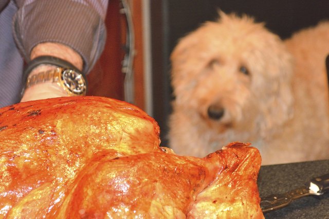 Thoroughly cooked, lean and boneless turkey morsels will be greatly enjoyed.