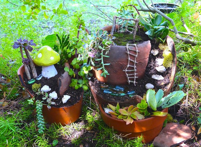 Finished Fairy Garden