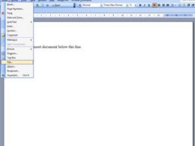 Open the Insert File dialog box.