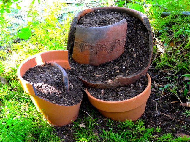 Add Potting Soil