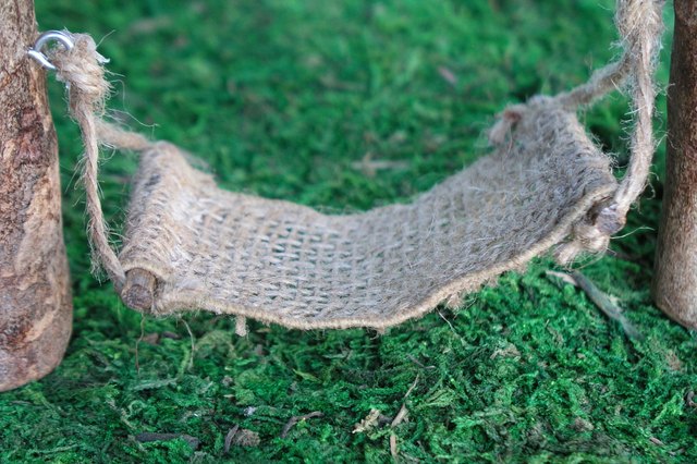 Hammock