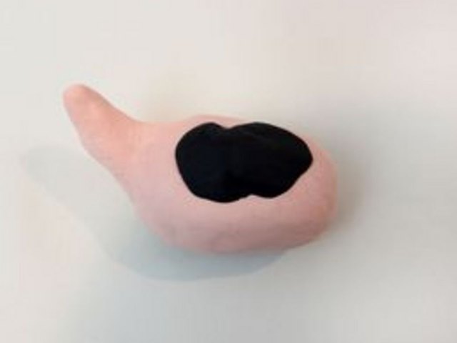 Sculpt the body of the dog