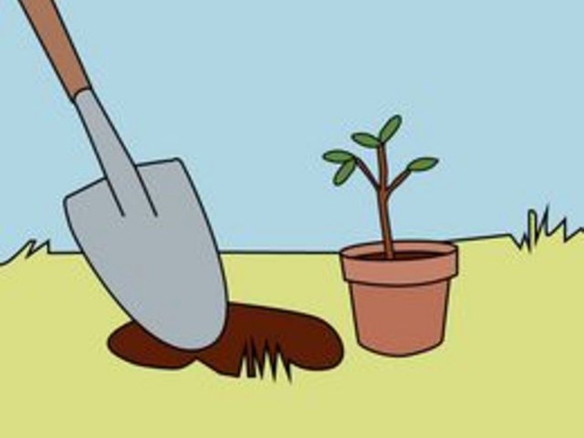 Step 3