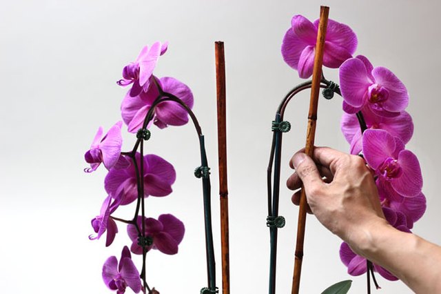 Replace the stakes with branches