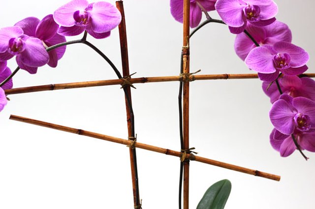 Create bamboo scaffolding