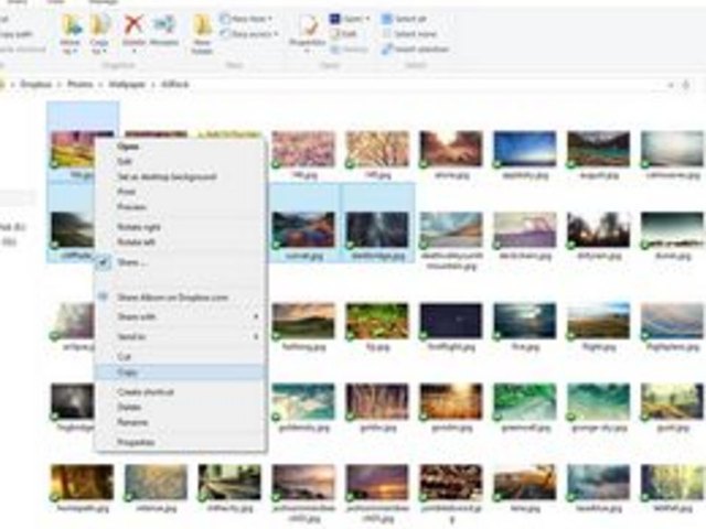 Copy the images.