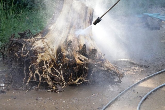 Pressure washing the stump.