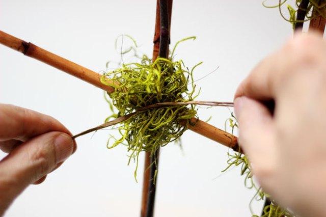 Cover raffia with moss