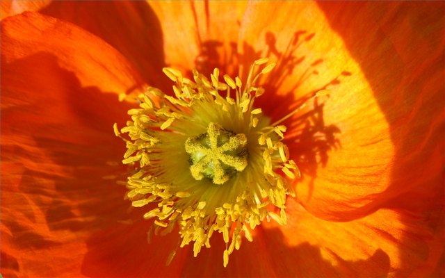 The gardener's primary responsibilities vary with the seasons.