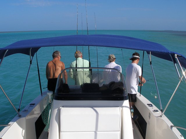 Keep your vinyl boat seats dry to prevent mildew growth.