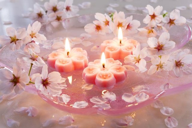 Romantic candles and flower blossoms.
