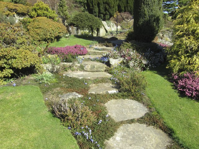 A range of ground cover plants look interesting between stepping stones.