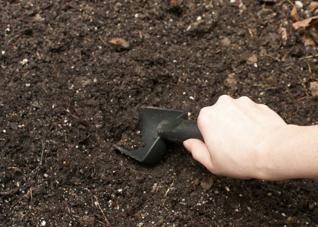 Use a trowel to take soil samples.