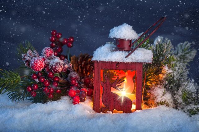 Lantern in snow
