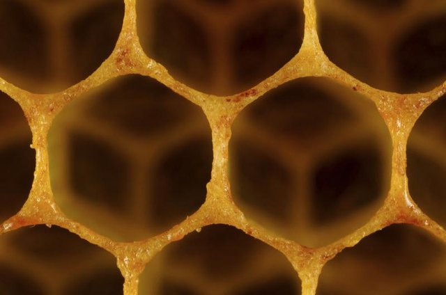 Close-up view of honeycomb. Close-up view of honeycomb.