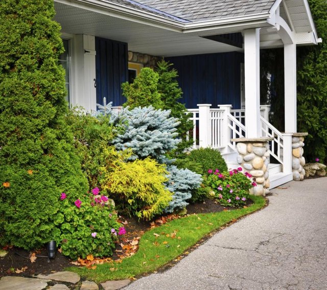 Dwarf, conical trees can accent a home's corners and features. Dwarf, conical trees can accent a home's corners and features.