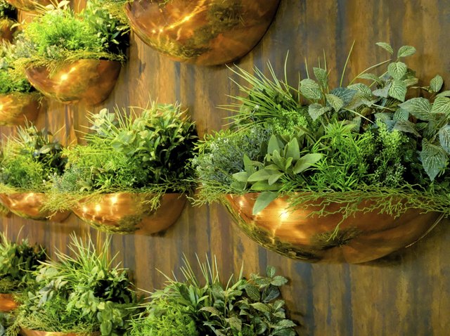 Fresh herbs can grow in a vertical wall garden.