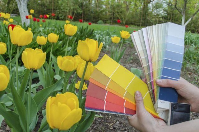 Using a palate color card in front of a garden