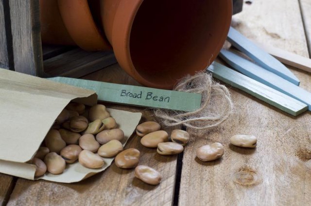 Seed packets carry planting specifics for your seeds.