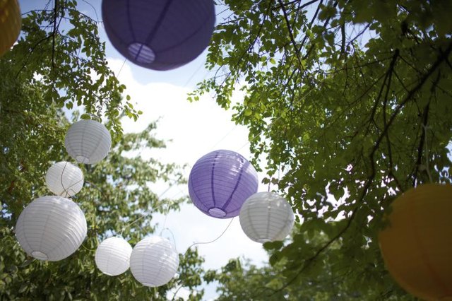 Purple lanters in tree