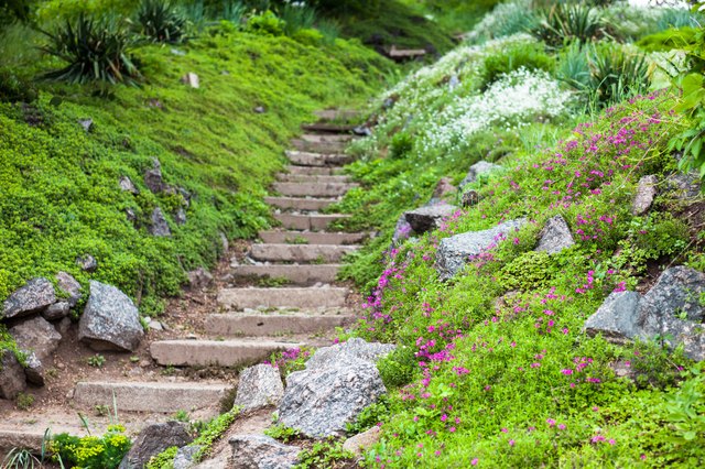 A curving pathway completes a rock garden.