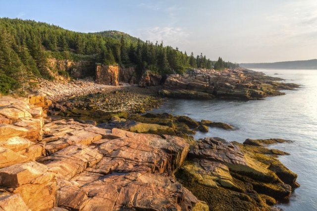 A cove in Arcadia National Park.