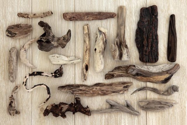 An assortment of pieces of driftwood on display.
