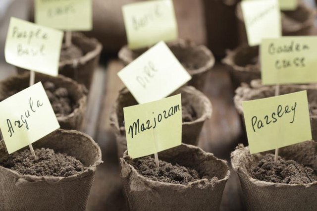 Without labels, all pots of soil look alike.