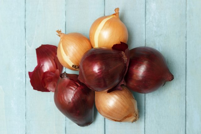 Round or globe-shaped onion bulbs usually have a pungent flavor.
