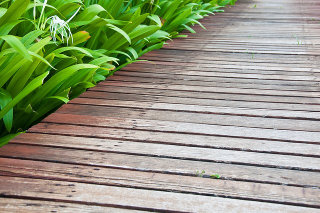 Low-growing plants next to the path help soften the edges.
