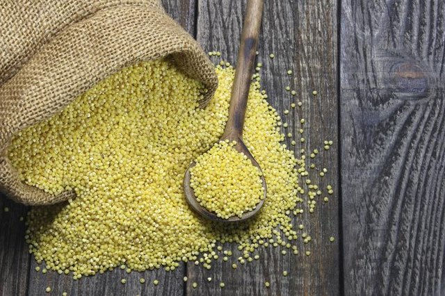 Raw millet spilling out of a canvas bag onto a spoon.