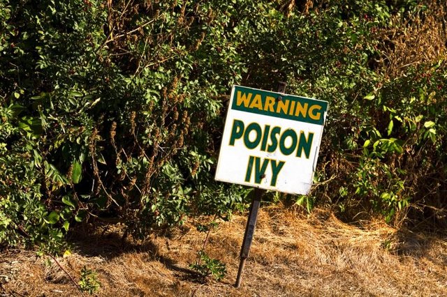A sign warning of poison ivy.