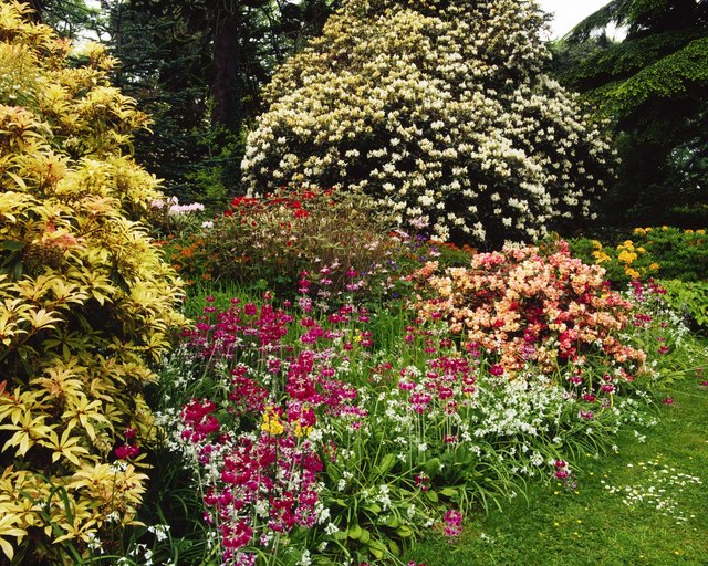 Masses of plants with complementary colors and textures make a visual statement.