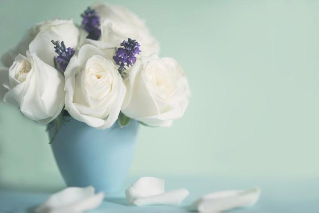Softly scented roses pair with lavender sprigs for a calming bedside bouquet.