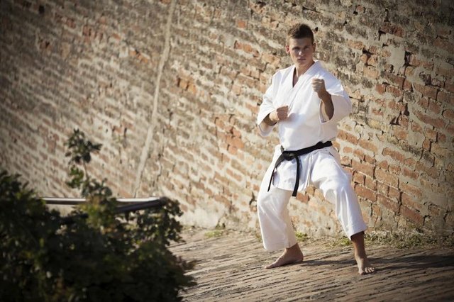 Man training with brown belt