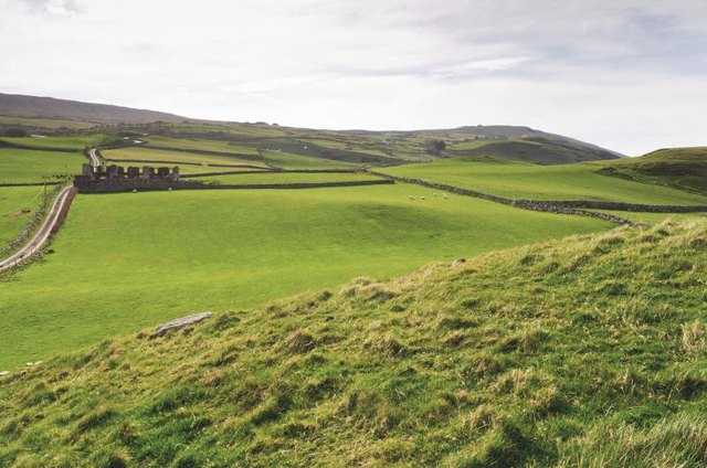 A large green pasture in Northern Ireland