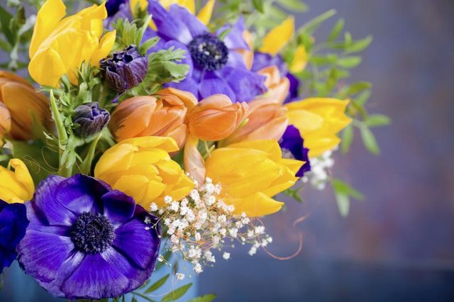 Colorful tulips and anemones satisfy the eye without adding scent.
