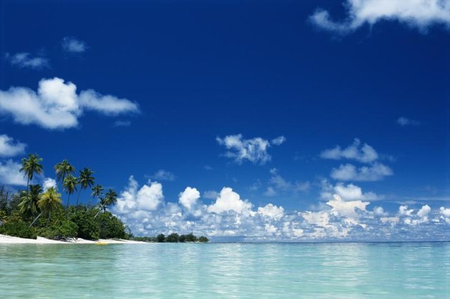 Exotic tropical beach.
