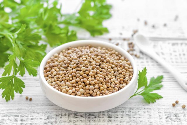 Bowl of coriander.