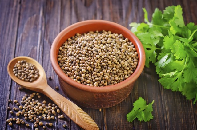 Both the leaves and seeds of cilantro add flavor to meals.