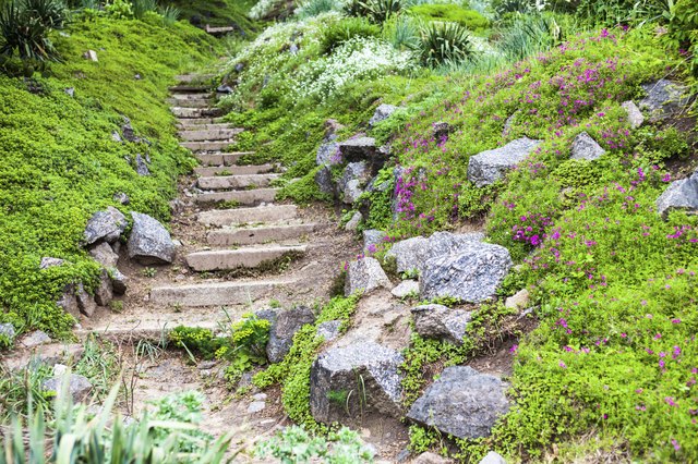 Plants grow to fill gaps in a rock garden over time.