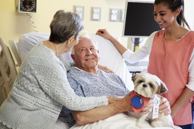 A therapy dog visits hospital residents.
